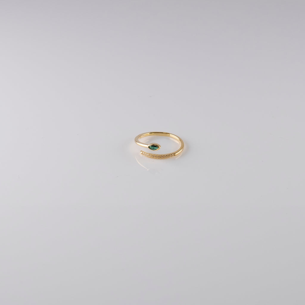 Anello Spirale Piccola